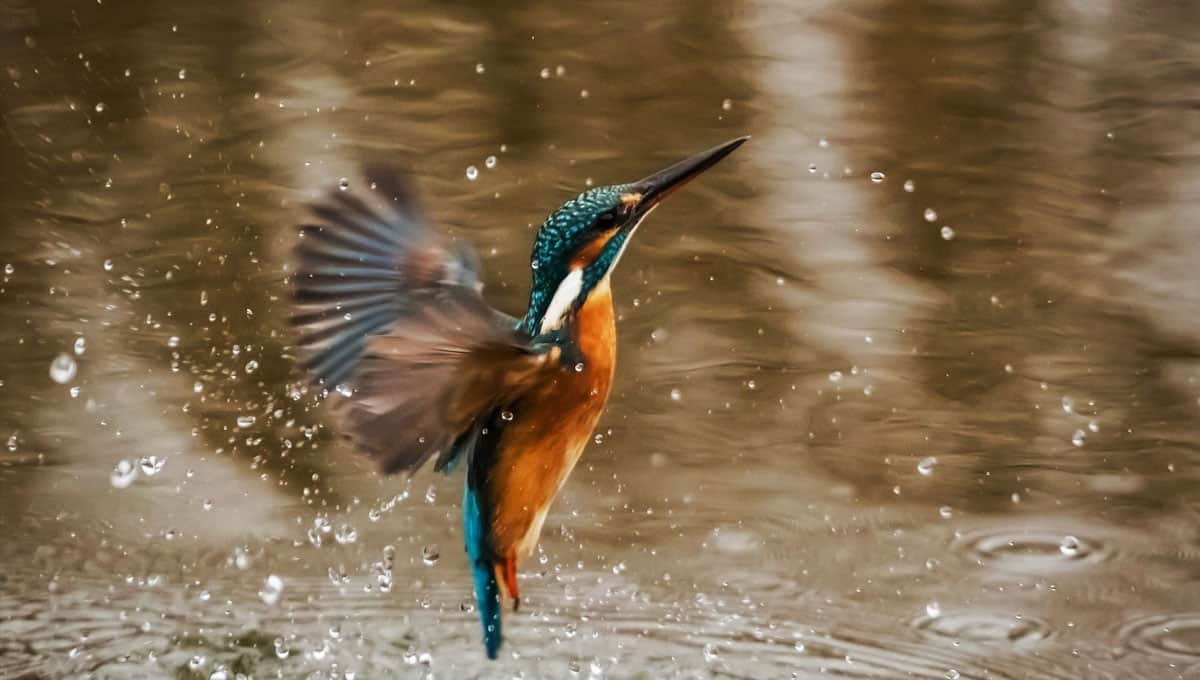 Hone your coaching skills with Peer Coaching