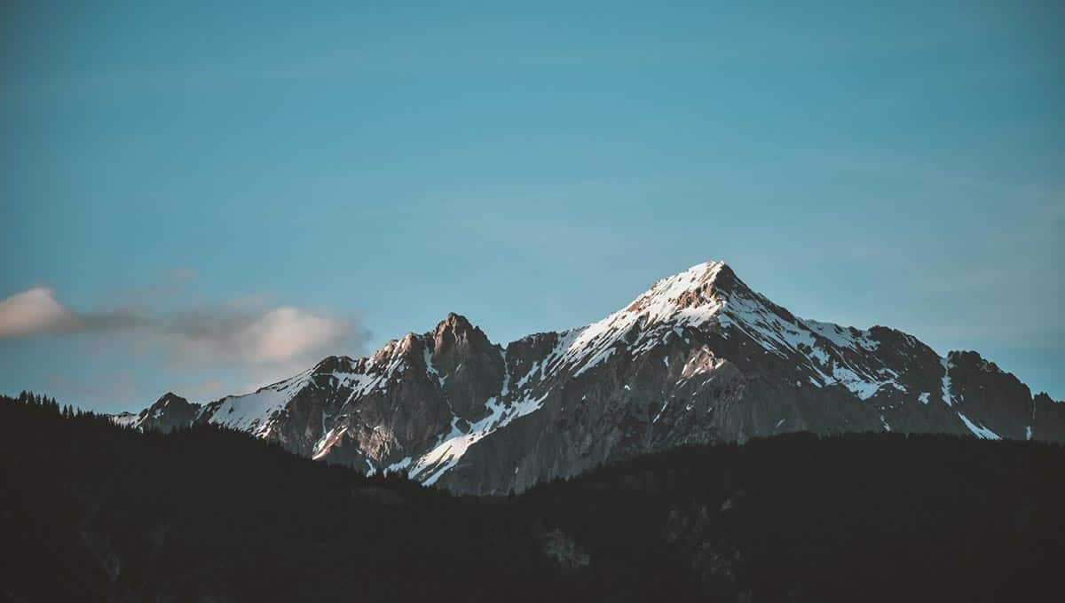 How to press pause and take a tech break